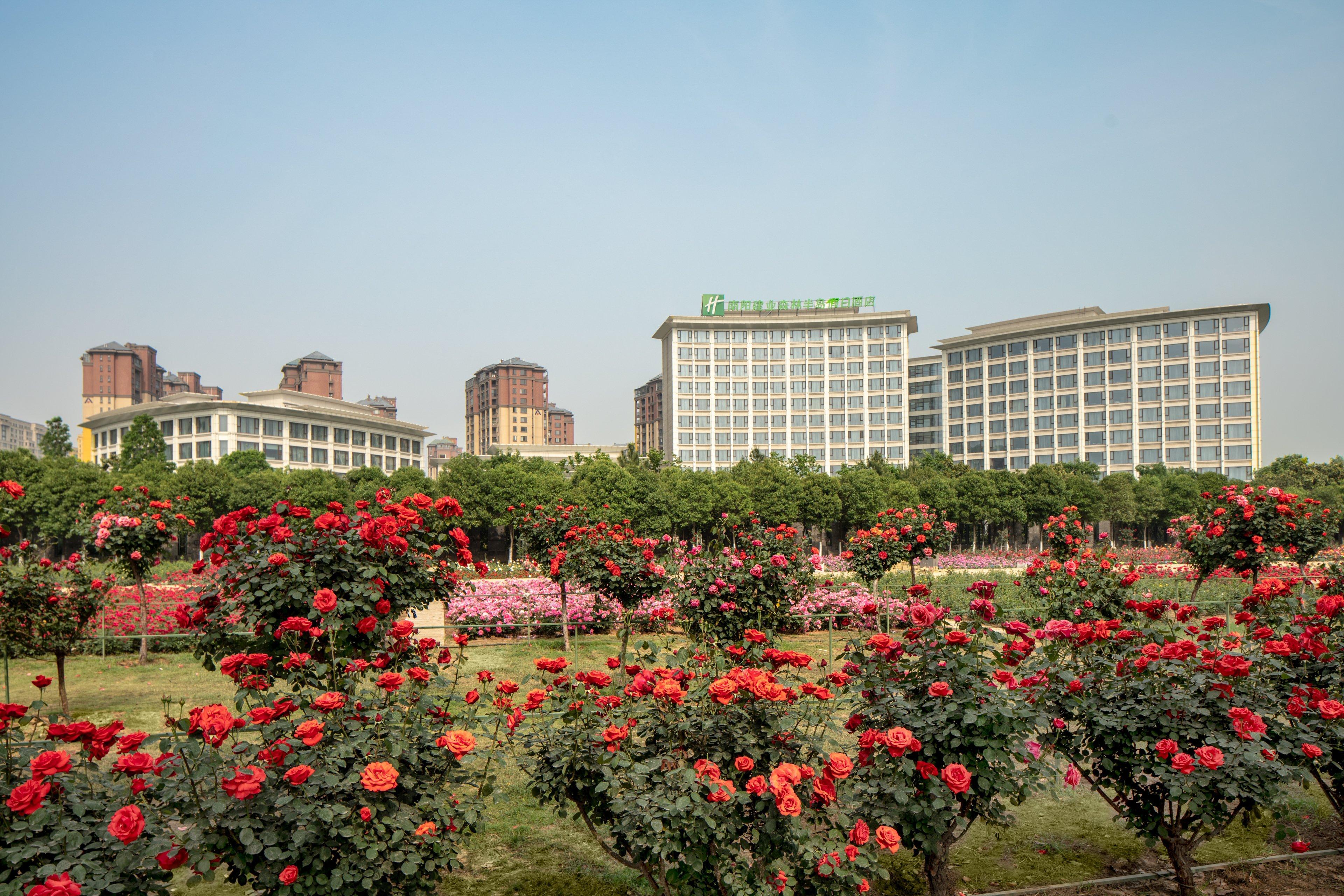 Holiday Inn Nanyang By Ihg Екстер'єр фото