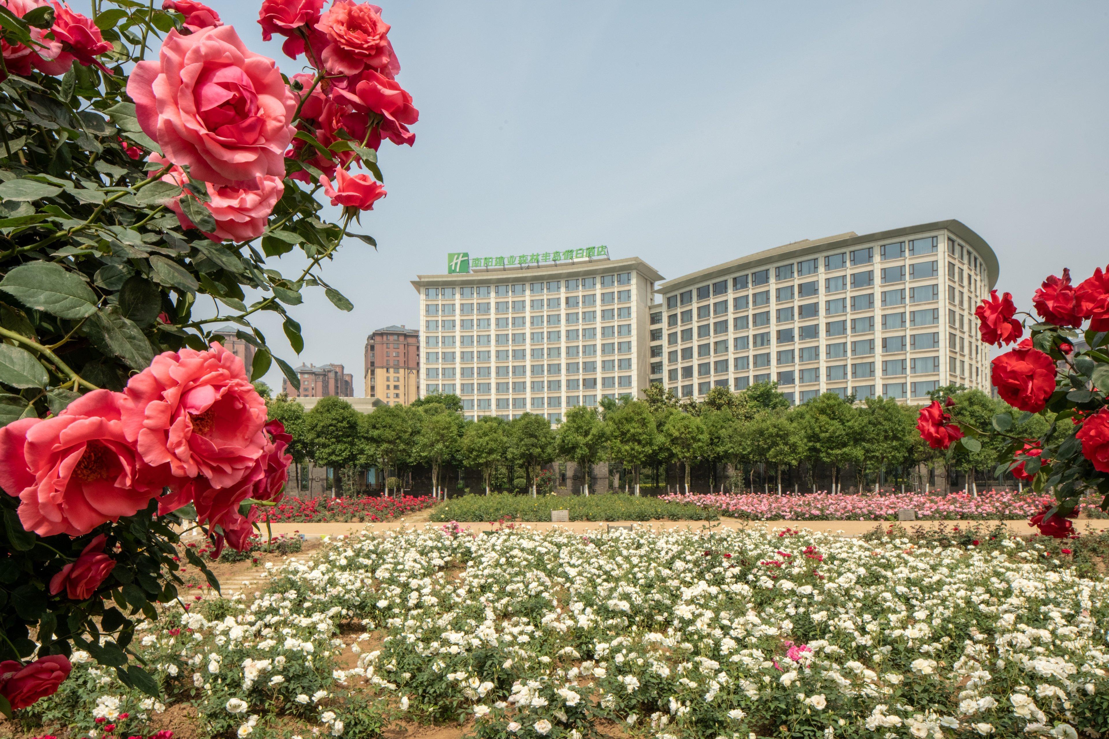 Holiday Inn Nanyang By Ihg Екстер'єр фото